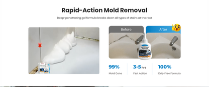 Multi-function Mold Remover Gel