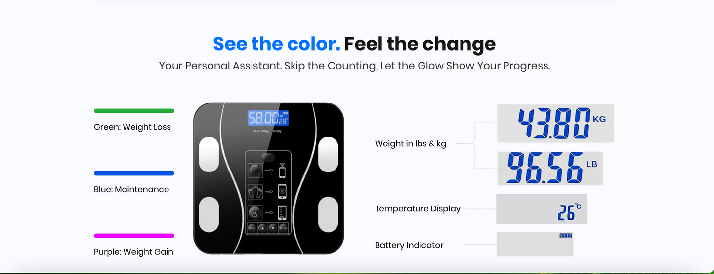 Smart Body Fat Scale