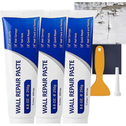 Quick-Dry Wall Repair Paste Kit