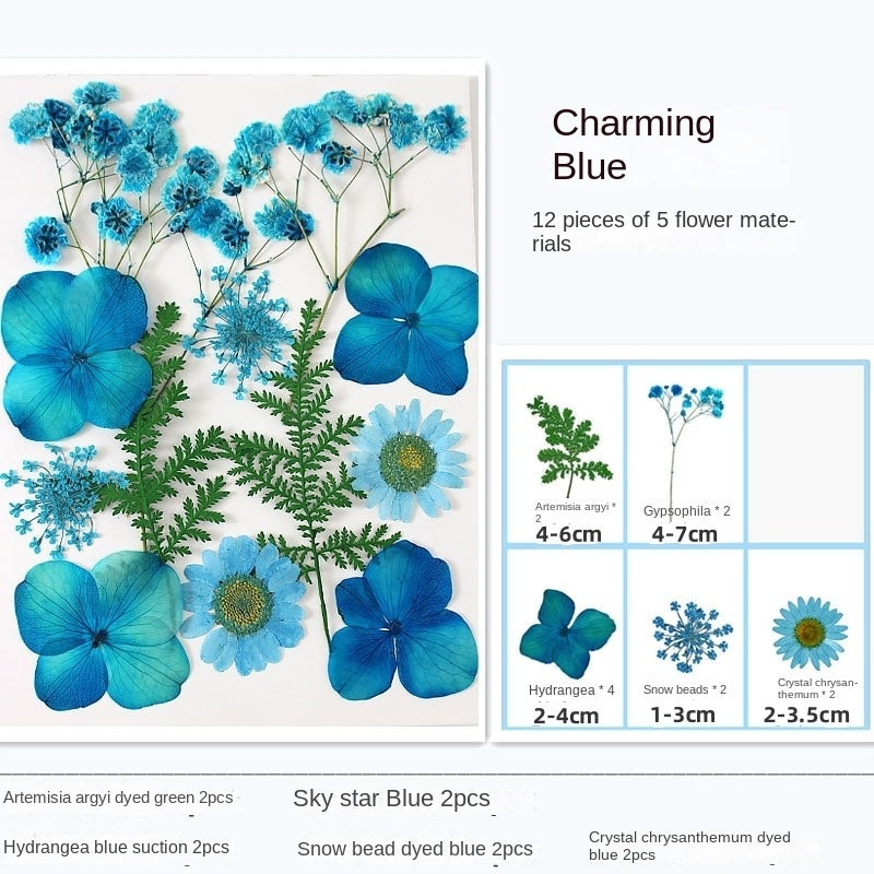 Woyuosn Transparent Dried Flower Bookmarks