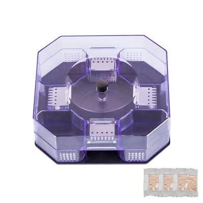 Cockroach Trap Box
