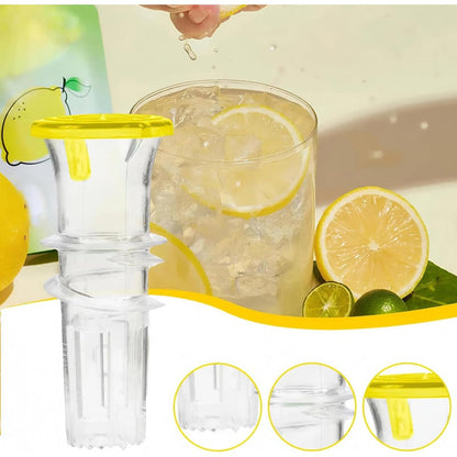 Portable Manual Citrus Juicer