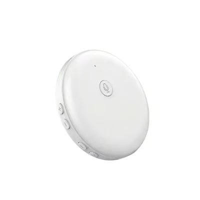 AI Real-Time Language Practice Companion
