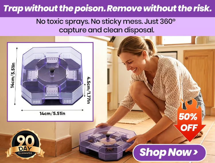 Cockroach Trap Box